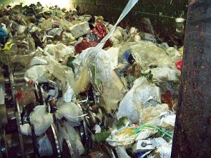 SustainableCityNetwork.com | Banning Plastic Bags: Does It Really Work?